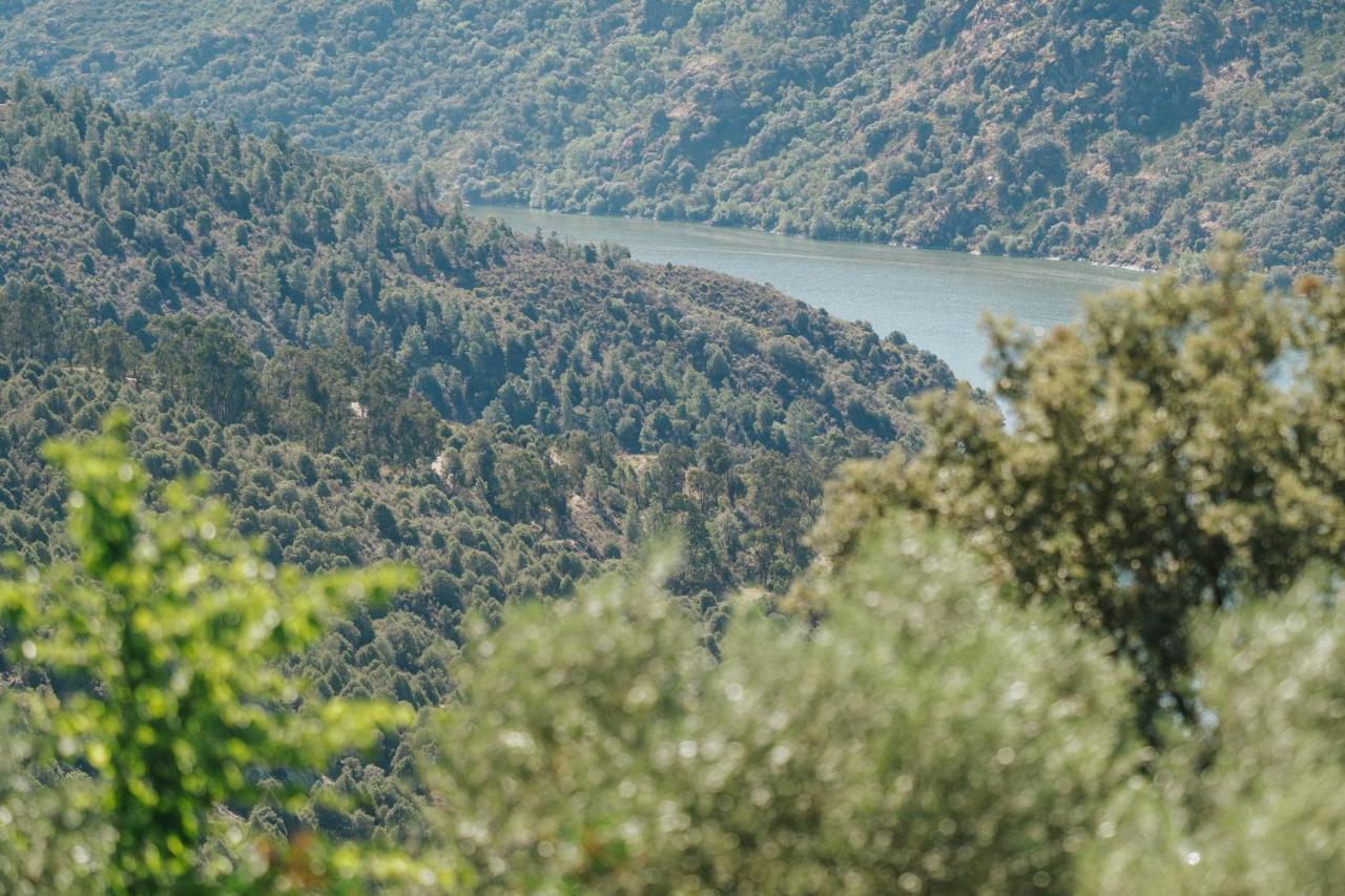 Casa Das Arribas - Rio Douro Aos Seus Pes Bemposta  Dış mekan fotoğraf